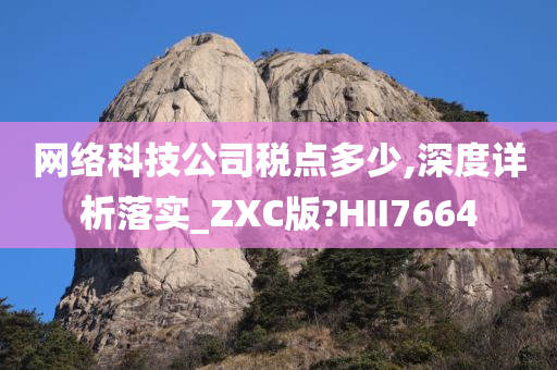 网络科技公司税点多少,深度详析落实_ZXC版?HII7664