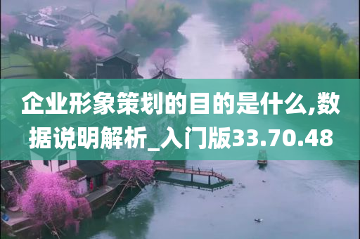 企业形象策划的目的是什么,数据说明解析_入门版33.70.48