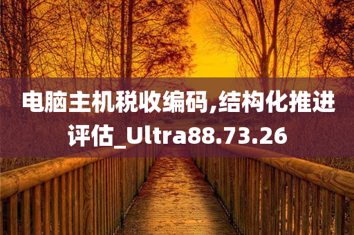 电脑主机税收编码,结构化推进评估_Ultra88.73.26