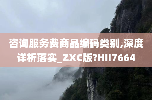 咨询服务费商品编码类别,深度详析落实_ZXC版?HII7664