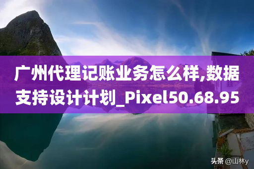 广州代理记账业务怎么样,数据支持设计计划_Pixel50.68.95