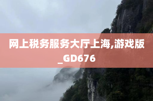 网上税务服务大厅上海,游戏版_GD676