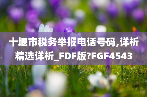 十堰市税务举报电话号码,详析精选详析_FDF版?FGF4543