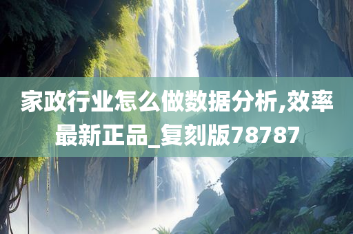 家政行业怎么做数据分析,效率最新正品_复刻版78787