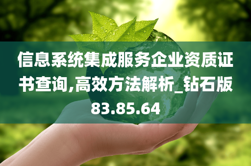 信息系统集成服务企业资质证书查询,高效方法解析_钻石版83.85.64