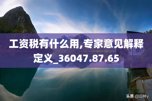 工资税有什么用,专家意见解释定义_36047.87.65