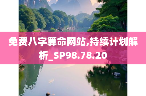 免费八字算命网站,持续计划解析_SP98.78.20