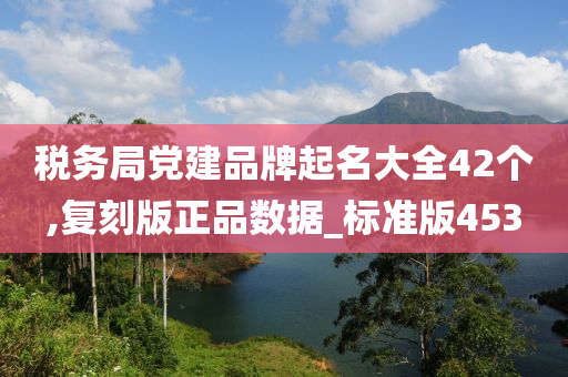 税务局党建品牌起名大全42个,复刻版正品数据_标准版453