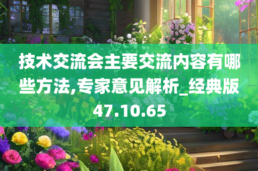 技术交流会主要交流内容有哪些方法,专家意见解析_经典版47.10.65