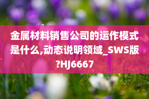 金属材料销售公司的运作模式是什么,动态说明领域_SWS版?HJ6667