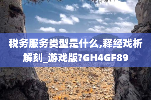 税务服务类型是什么,释经戏析解刻_游戏版?GH4GF89