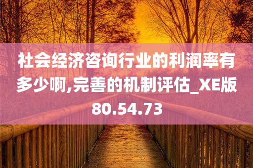 社会经济咨询行业的利润率有多少啊,完善的机制评估_XE版80.54.73