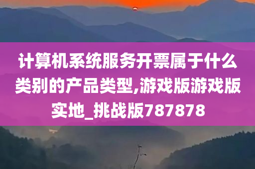 计算机系统服务开票属于什么类别的产品类型,游戏版游戏版实地_挑战版787878