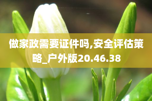 做家政需要证件吗,安全评估策略_户外版20.46.38