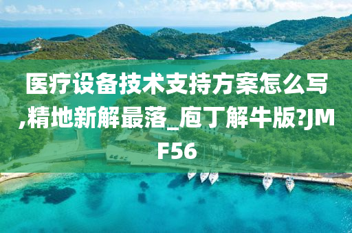 医疗设备技术支持方案怎么写,精地新解最落_庖丁解牛版?JMF56