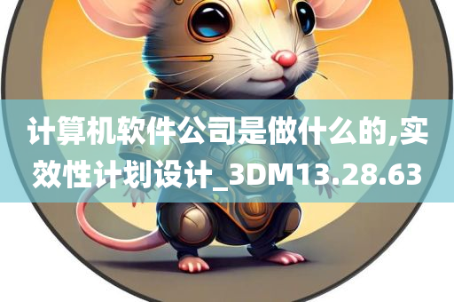 计算机软件公司是做什么的,实效性计划设计_3DM13.28.63