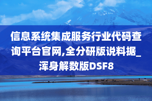 信息系统集成服务行业代码查询平台官网,全分研版说料据_浑身解数版DSF8