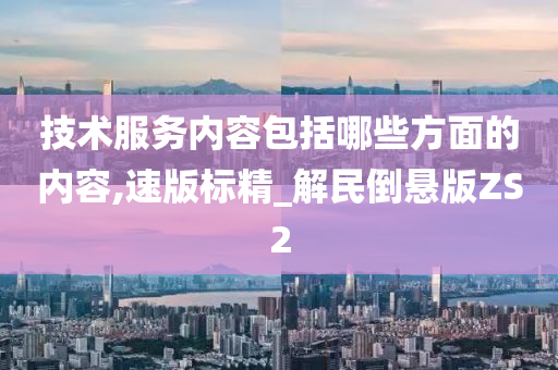 技术服务内容包括哪些方面的内容,速版标精_解民倒悬版ZS2