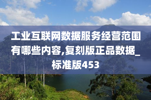 工业互联网数据服务经营范围有哪些内容,复刻版正品数据_标准版453