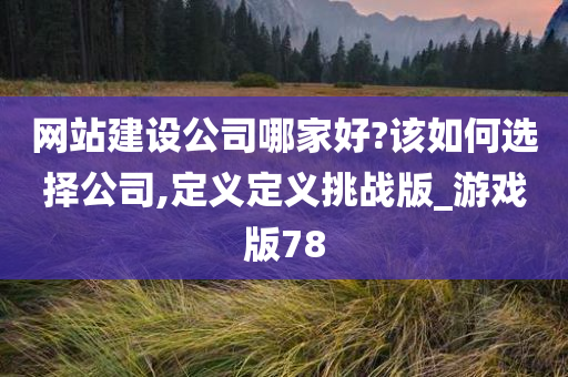 网站建设公司哪家好?该如何选择公司,定义定义挑战版_游戏版78