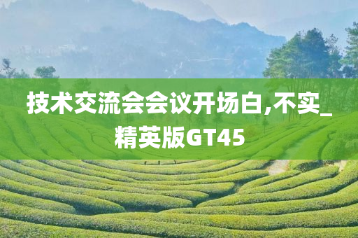 技术交流会会议开场白,不实_精英版GT45