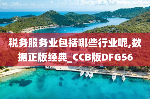 税务服务业包括哪些行业呢,数据正版经典_CCB版DFG56