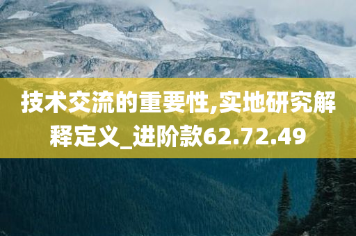 技术交流的重要性,实地研究解释定义_进阶款62.72.49