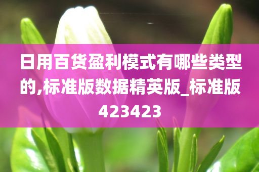 日用百货盈利模式有哪些类型的,标准版数据精英版_标准版423423