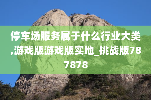 停车场服务属于什么行业大类,游戏版游戏版实地_挑战版787878