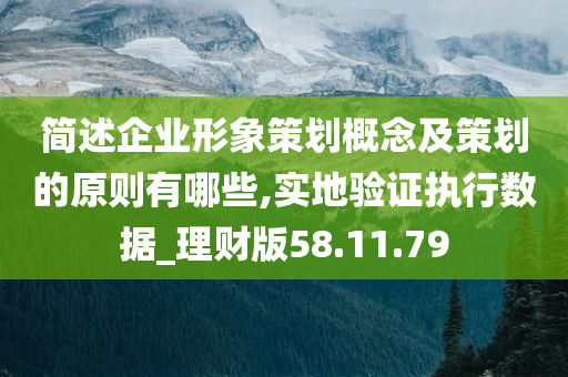 简述企业形象策划概念及策划的原则有哪些,实地验证执行数据_理财版58.11.79