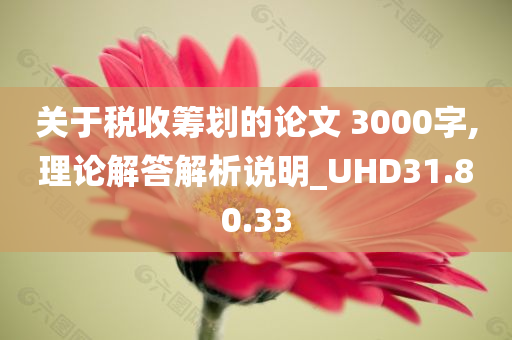 关于税收筹划的论文 3000字,理论解答解析说明_UHD31.80.33