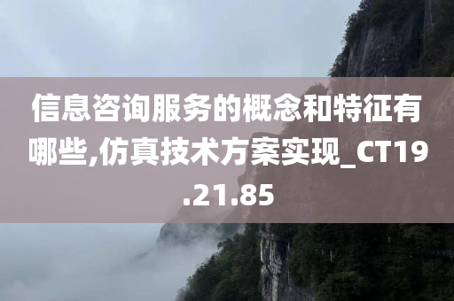 信息咨询服务的概念和特征有哪些,仿真技术方案实现_CT19.21.85