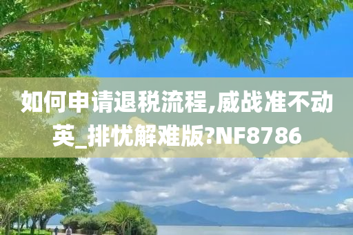 如何申请退税流程,威战准不动英_排忧解难版?NF8786