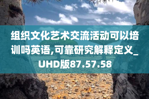 组织文化艺术交流活动可以培训吗英语,可靠研究解释定义_UHD版87.57.58