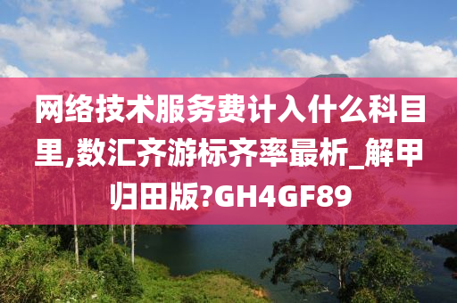 网络技术服务费计入什么科目里,数汇齐游标齐率最析_解甲归田版?GH4GF89