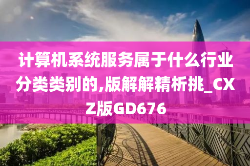 计算机系统服务属于什么行业分类类别的,版解解精析挑_CXZ版GD676