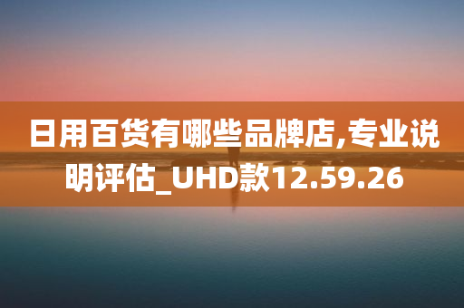 日用百货有哪些品牌店,专业说明评估_UHD款12.59.26