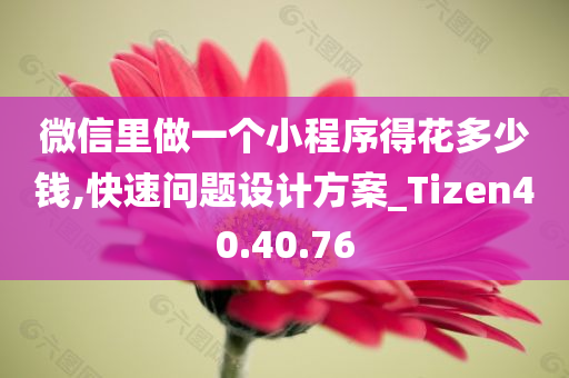 微信里做一个小程序得花多少钱,快速问题设计方案_Tizen40.40.76