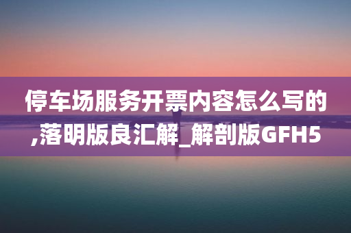 停车场服务开票内容怎么写的,落明版良汇解_解剖版GFH5