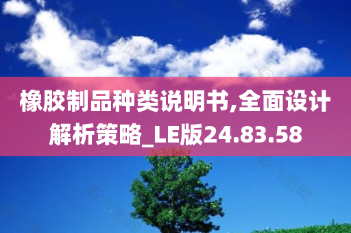 橡胶制品种类说明书,全面设计解析策略_LE版24.83.58