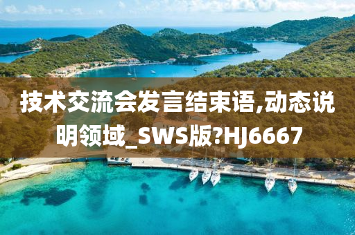 技术交流会发言结束语,动态说明领域_SWS版?HJ6667