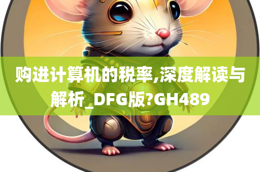 购进计算机的税率,深度解读与解析_DFG版?GH489