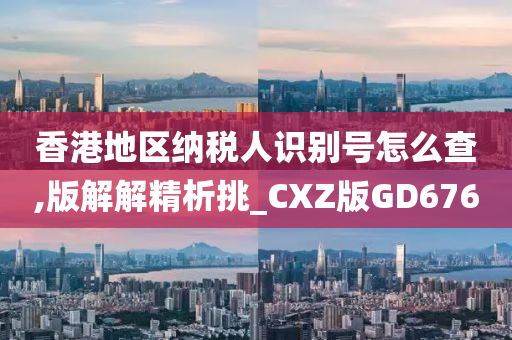 香港地区纳税人识别号怎么查,版解解精析挑_CXZ版GD676