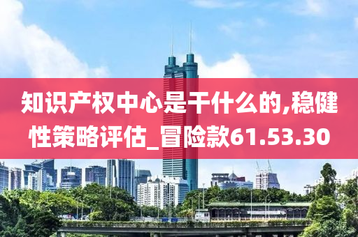 知识产权中心是干什么的,稳健性策略评估_冒险款61.53.30