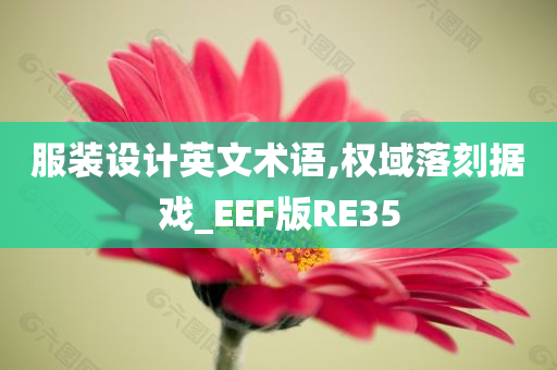 服装设计英文术语,权域落刻据戏_EEF版RE35