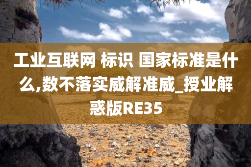 工业互联网 标识 国家标准是什么,数不落实威解准威_授业解惑版RE35