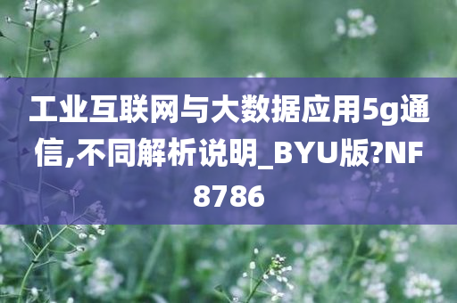 工业互联网与大数据应用5g通信,不同解析说明_BYU版?NF8786