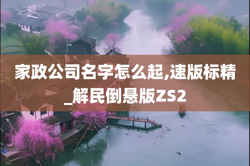 家政公司名字怎么起,速版标精_解民倒悬版ZS2