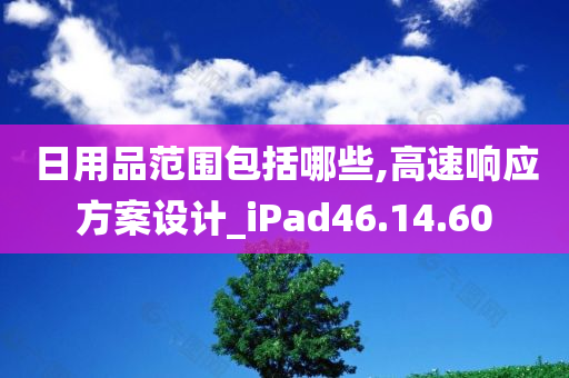 日用品范围包括哪些,高速响应方案设计_iPad46.14.60