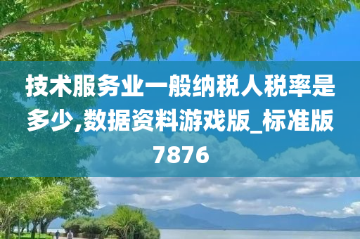 技术服务业一般纳税人税率是多少,数据资料游戏版_标准版7876